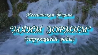 ШМИНИ 5785 Чистая и нечистая пища Лев.11  Р.Кухаровский. ЕМО МАИМ ЗОРМИМ ИЗРАИЛЬ