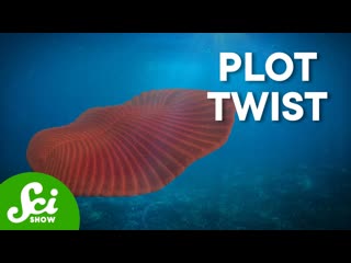 The Hostile World Where Animal Life Began