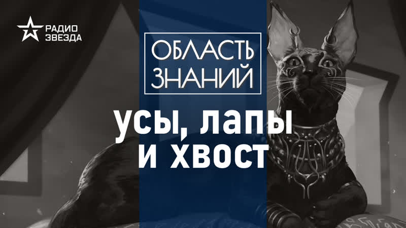 Почему древние египтяне поклонялись