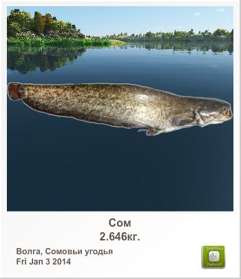 Дмитрий Корецкий | Днепр (Днепропетровск)