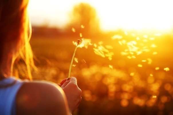 Елена Пенькова | Новосибирск