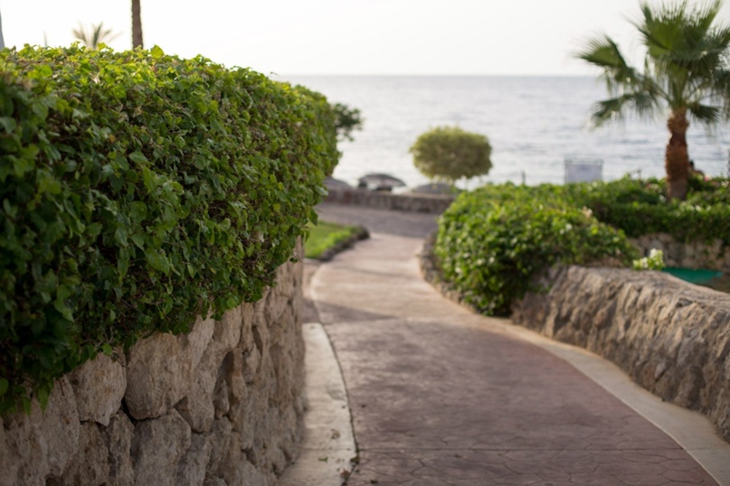 Алексей Амеличкин | Москва