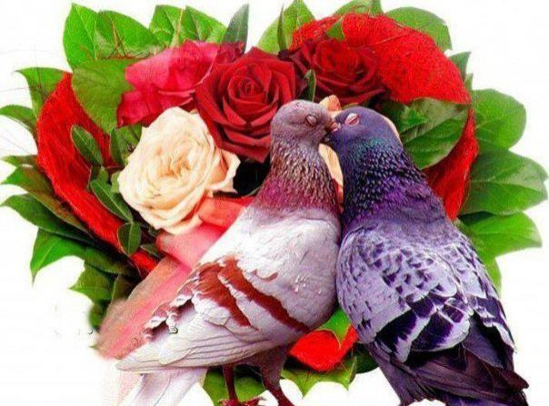 Фото цветов семейного счастья Фото цветов семейного счастья