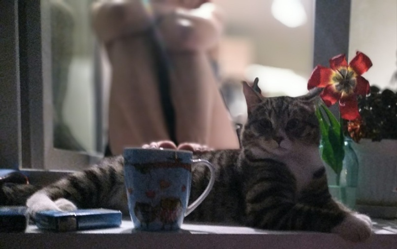 Мария Елецкая | Томск