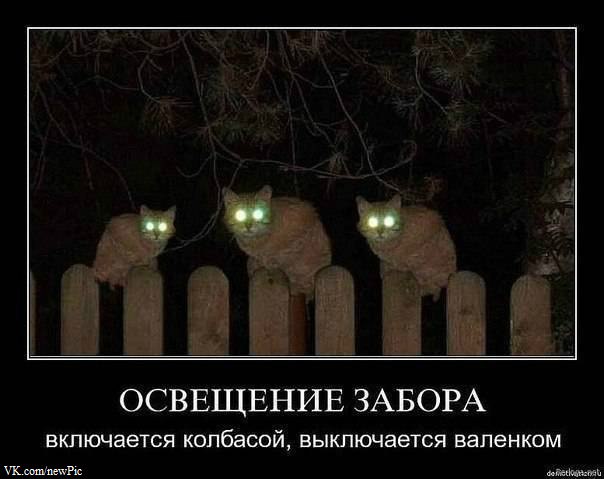 Юрий Уткин <<DeMoN>> | Челябинск