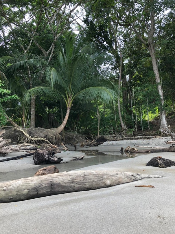 Светлана Колокольчикова | Волгоград