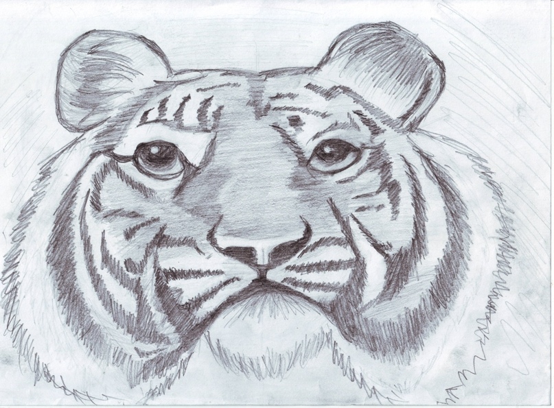 Андрей Зорич | Тосно