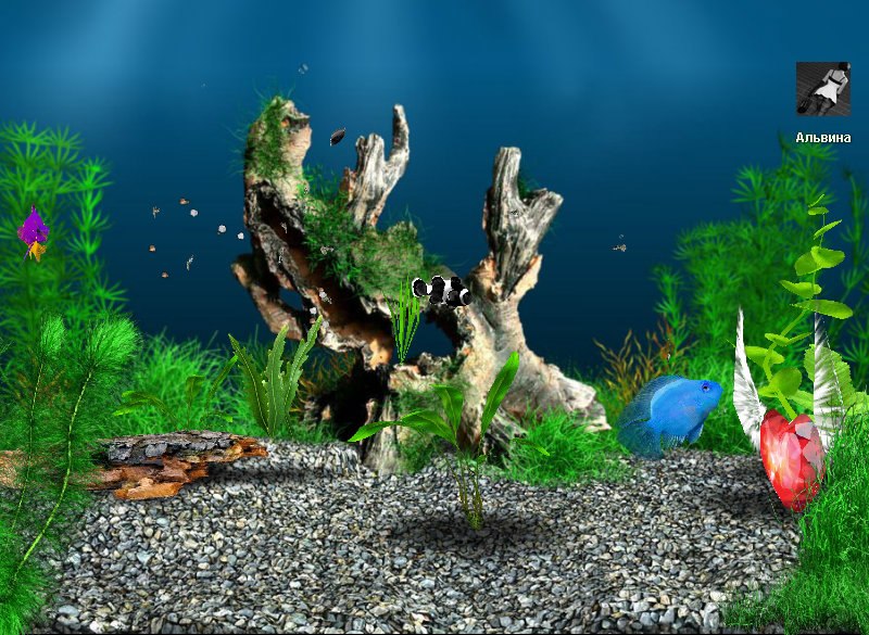 Елена Ильинская | Орехово-Зуево