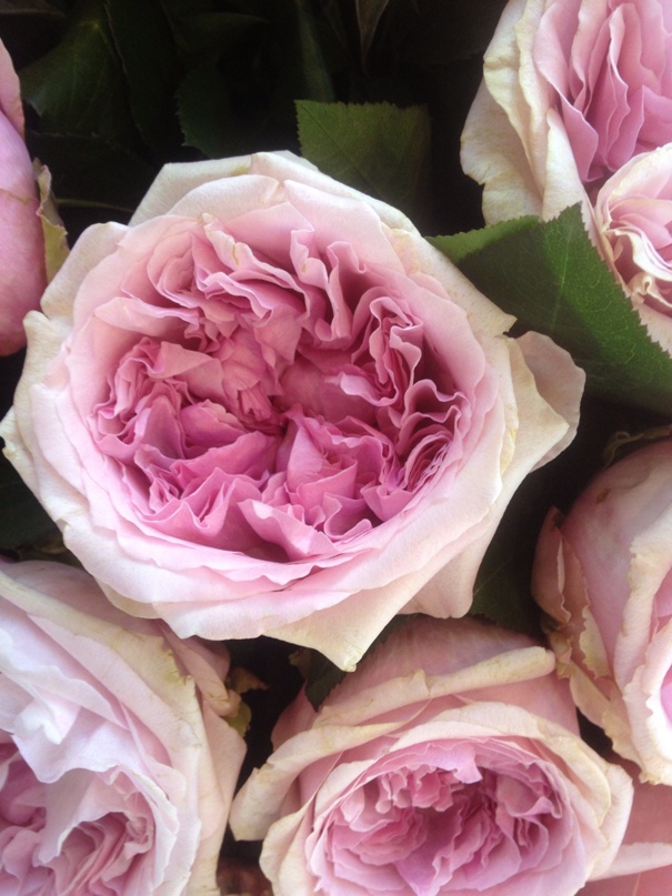 Наталья Кравец | Воронеж