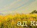 Наталья Миронова | Белгород-Днестровский