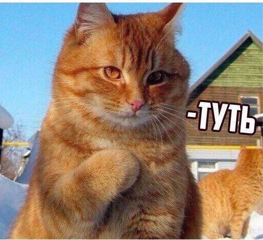 Тимур Шарипов | Челябинск