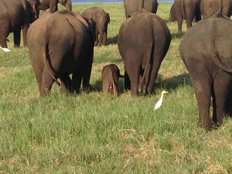 Катя Горбачева | Москва