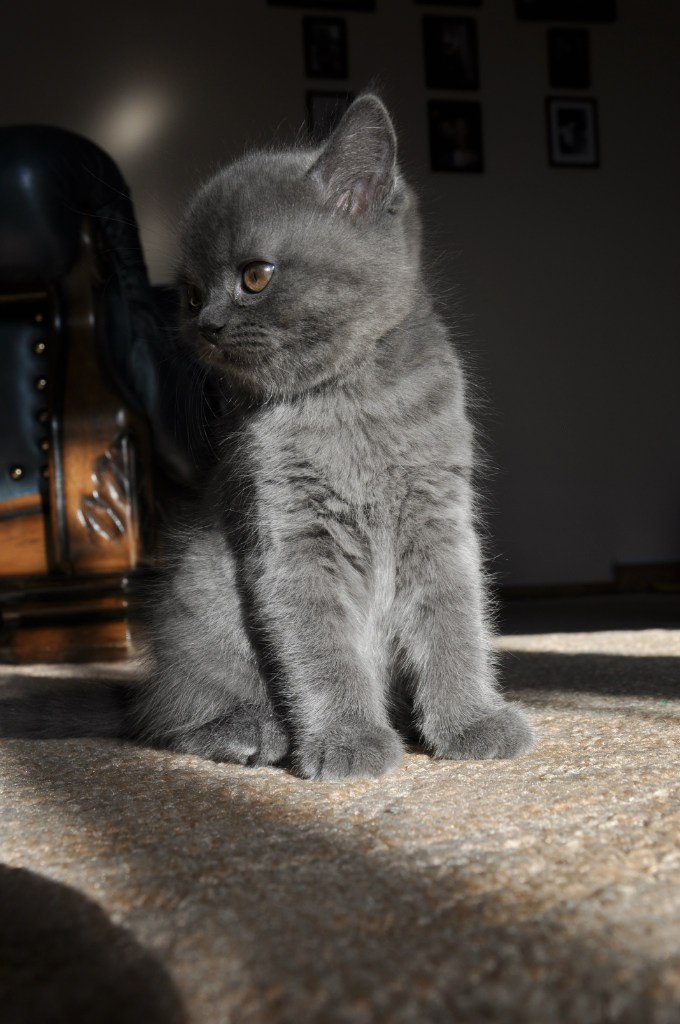 Андрей Акулов | Москва