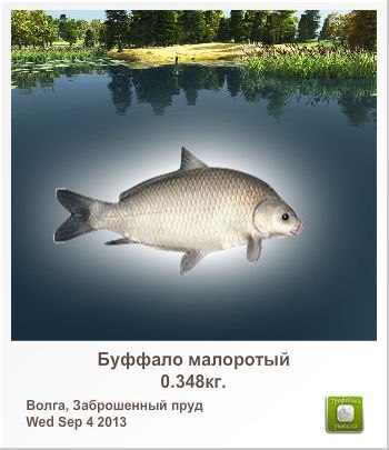 Андрей Старовойтов | Иваново