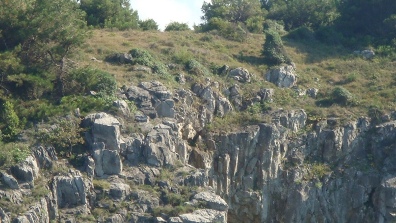 Евгений Быковский | Армавир