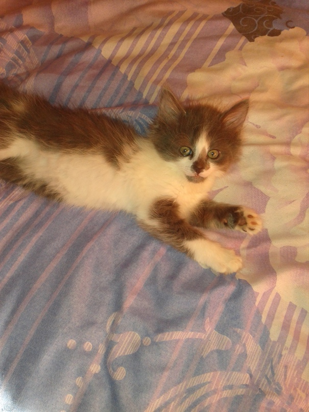 Лида Смирнова | Вологда