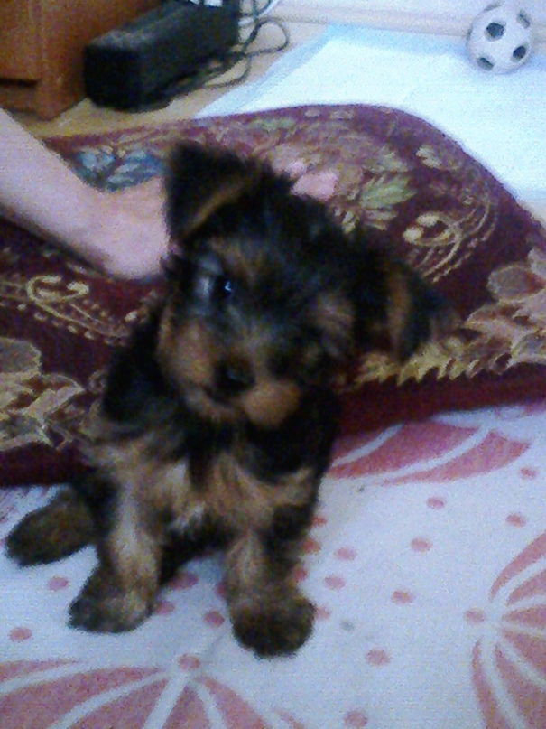 Ирина Неверова | Санкт-Петербург