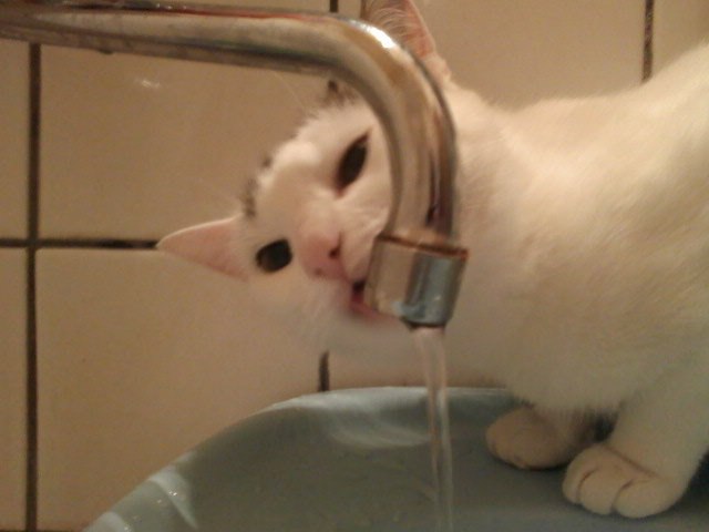 Елена Горяйнова | Москва