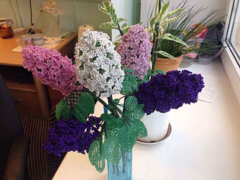 Елена Грибова | Санкт-Петербург