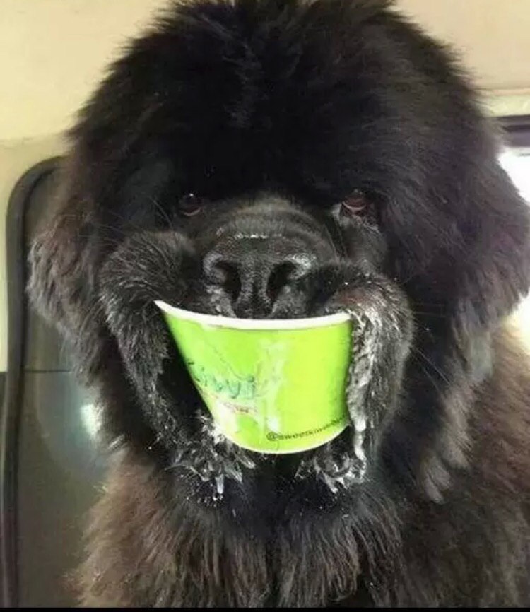 Павел Рябов | Ярославль