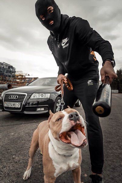 Игорь Шумаков | Бавлы