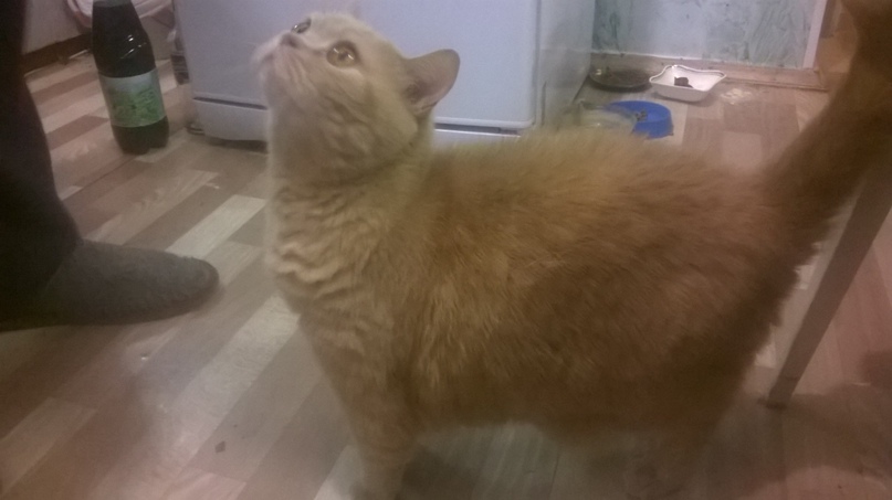 Виктор Кислов | Москва