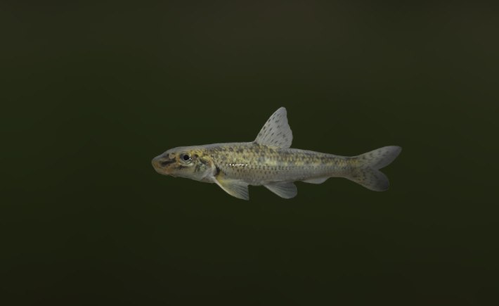 Игорь Денисов | Печора