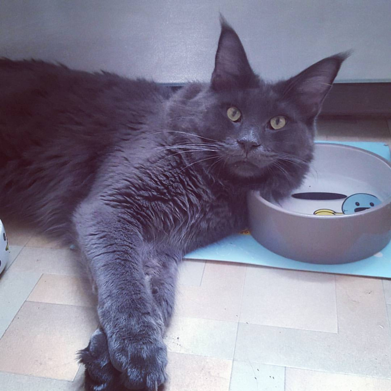 Илья Высоцкий | Москва