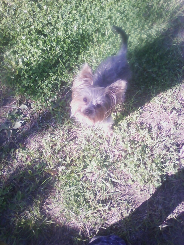 Анна Шевелева | Санкт-Петербург