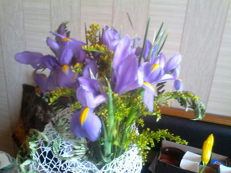 Юлия Разина Олеговна |