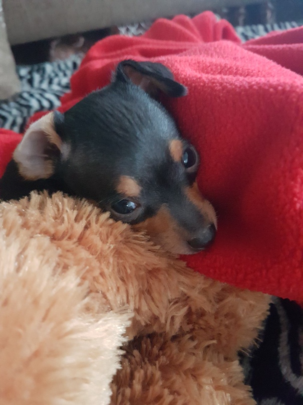 Кристина Постникова | Иркутск