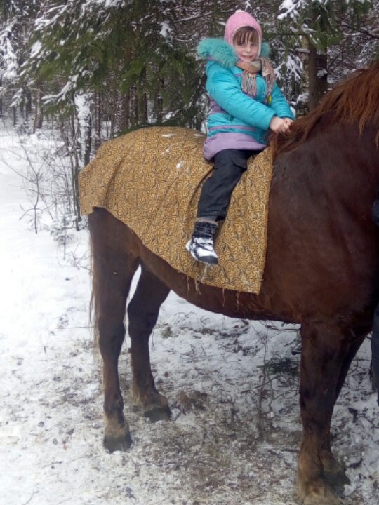 Игорь Винник | Минск