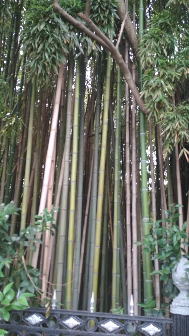 Оксана Шахова | Сочи