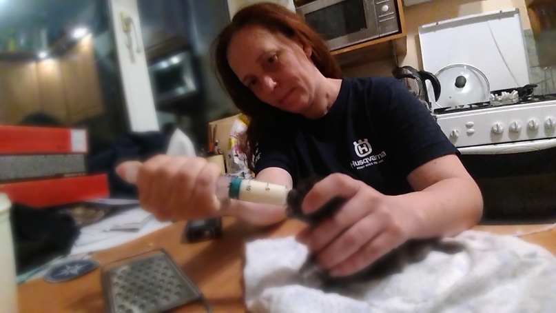 Яков Гинзбург | Санкт-Петербург