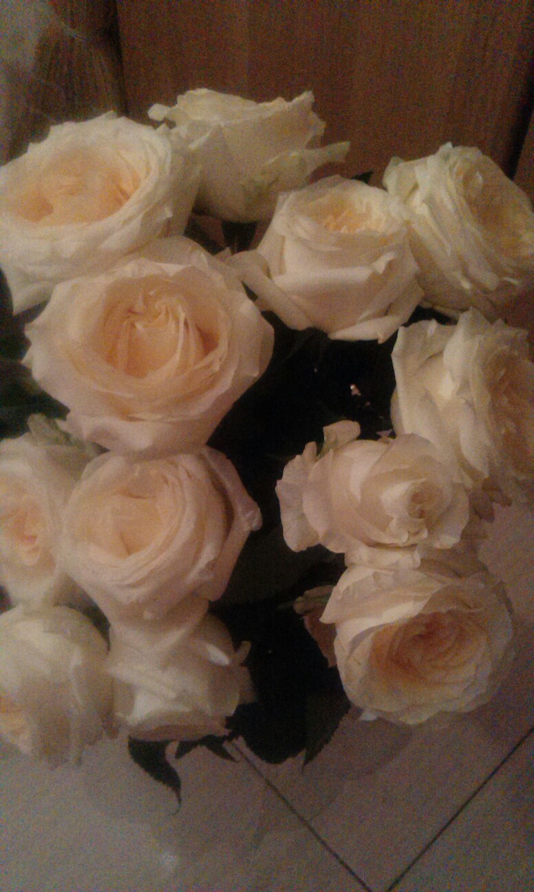 Анна Гунько | Санкт-Петербург