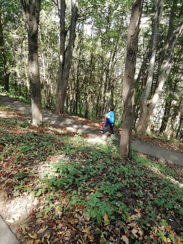 Роман Степанцов | Микунь (деревня)