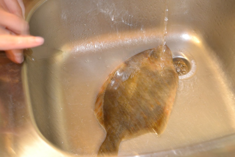 Андрей Ветров | Москва