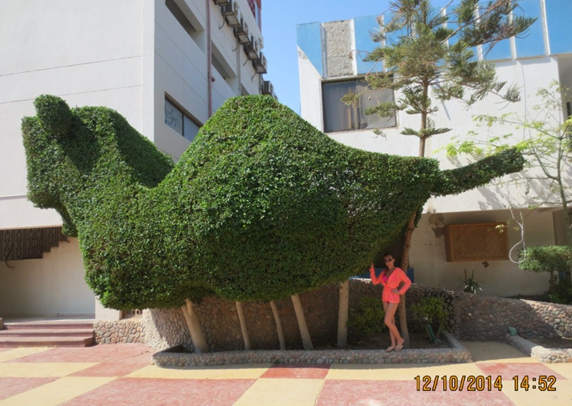 Марина Дубровина | Подольск