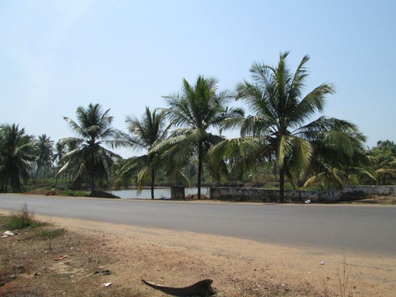 Тимофей Фокин RDFX | Москва