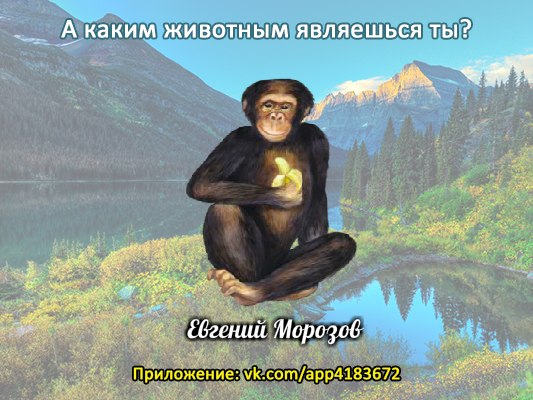 Евгений Морозов |