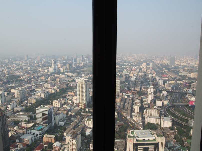 Елена Писарева Логинова | Санкт-Петербург