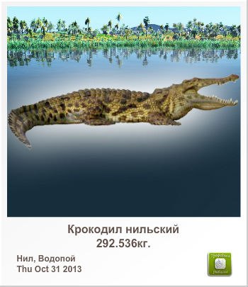 Дмитрий Васин | Старая Русса