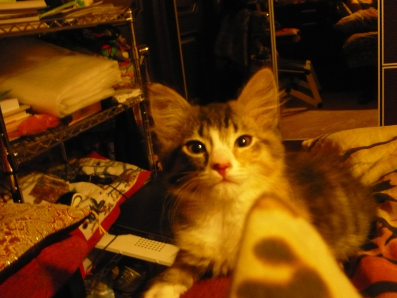 Екатерина Варнавская | Санкт-Петербург