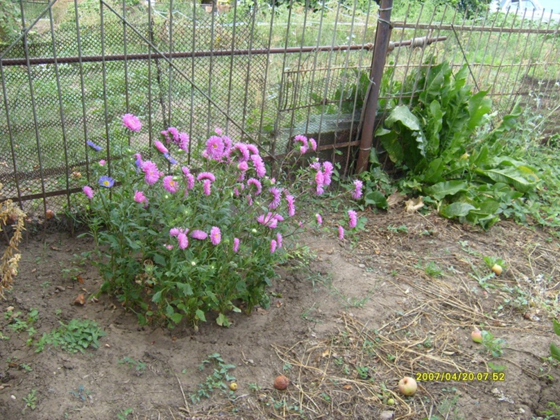 Анатолий Селиванов |