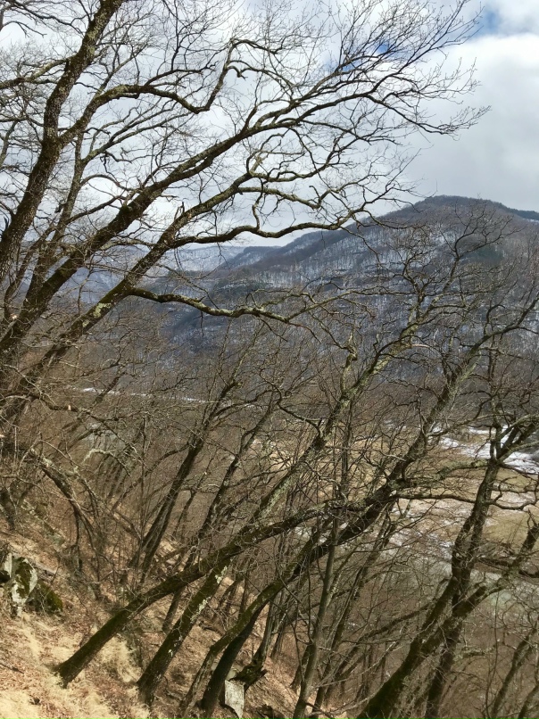 Анна Козлова | Рязань