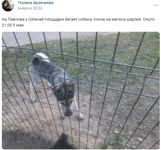 Пост добра. Потерялись / нашлись животные. Лайк...