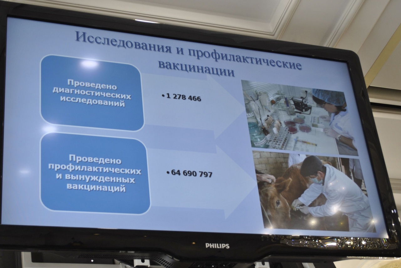 Ветеринары Ростовской области подвели итоги полугодия Ветеринары Ростовской области подвели итоги полугодия
