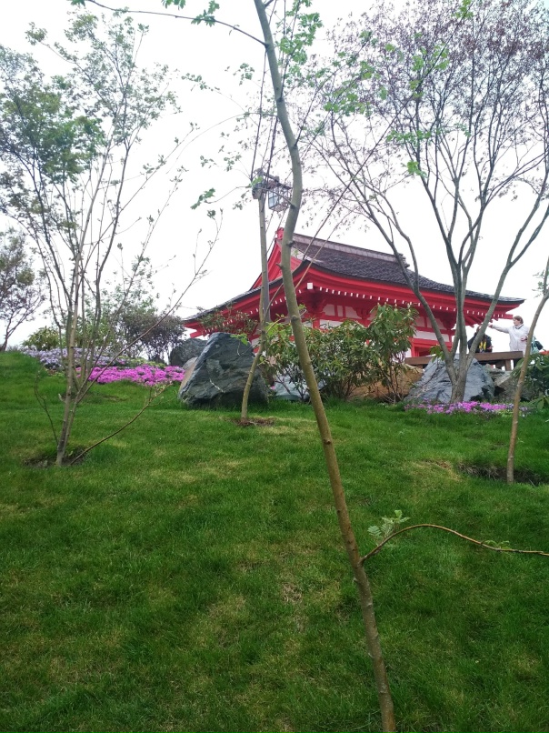 Нина Серова | Краснодар