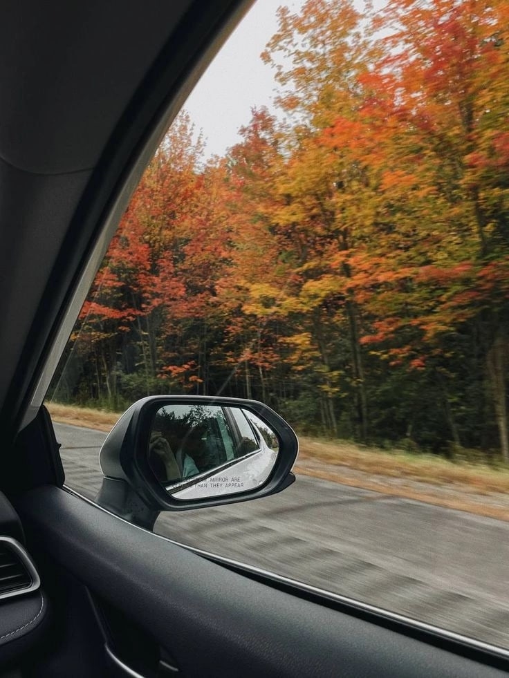 Эльвира Мустафина | Миасс