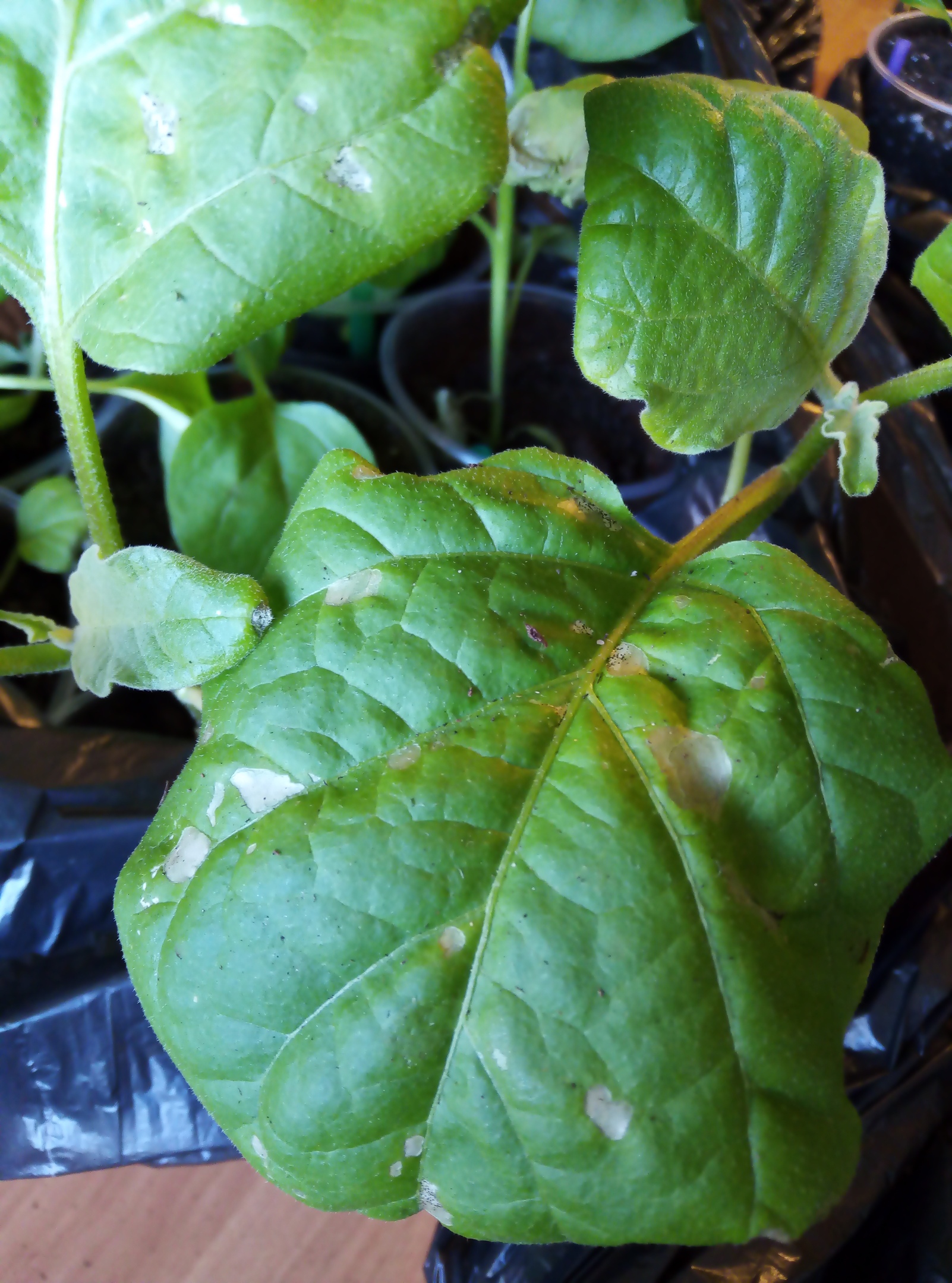 фотография из вКонтакте